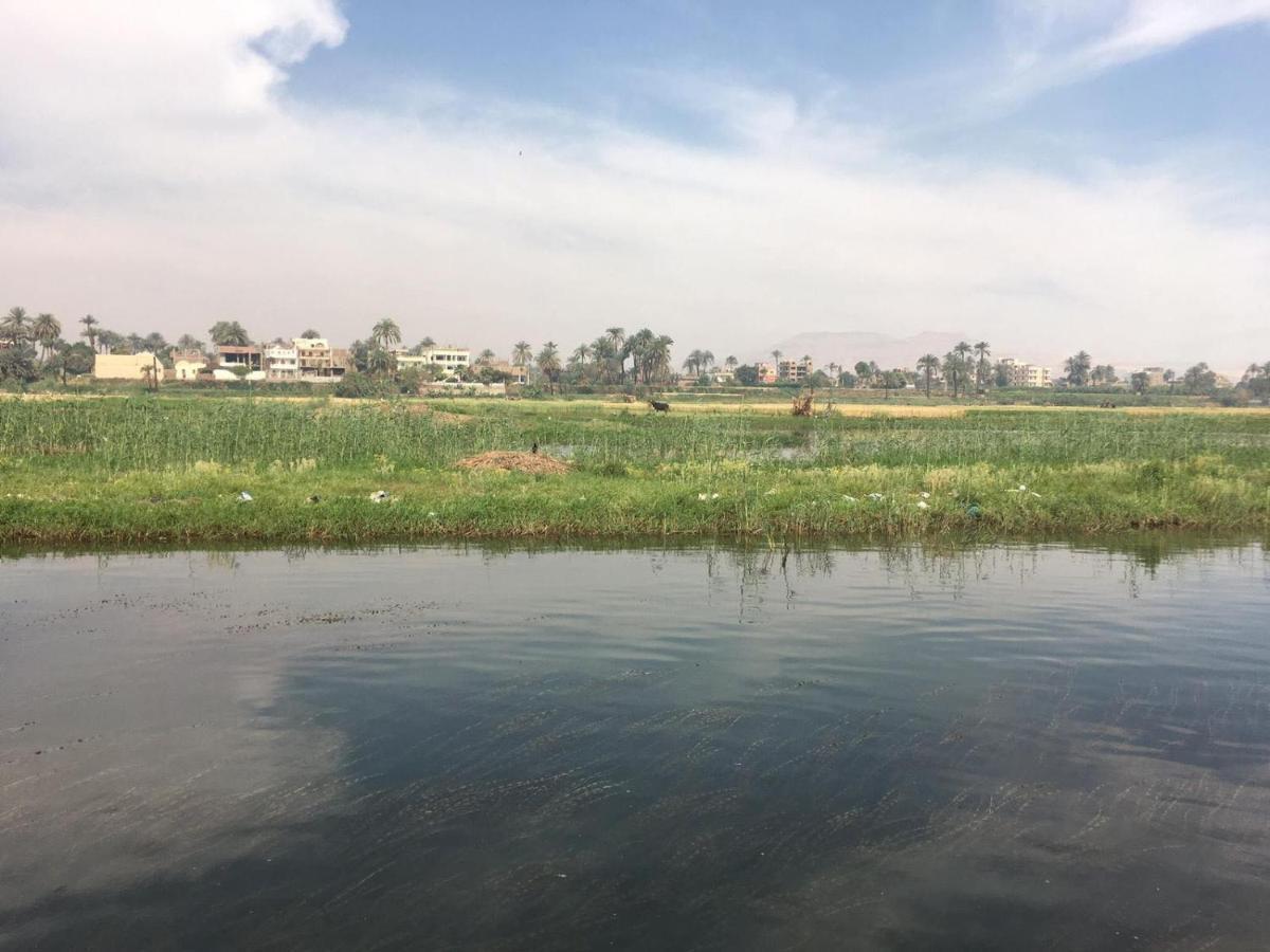 Apartment In Luxor City Center-Nil מראה חיצוני תמונה